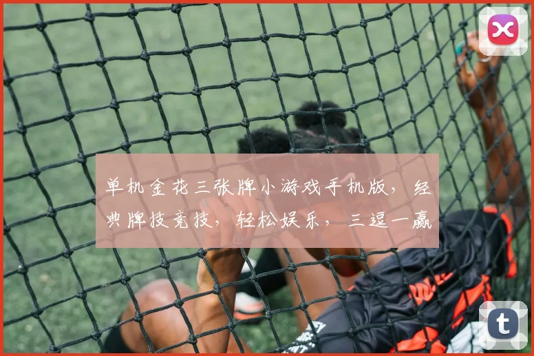 单机金花三张牌小游戏手机版，经典牌技竞技，轻松娱乐，三逗一赢，快来挑战