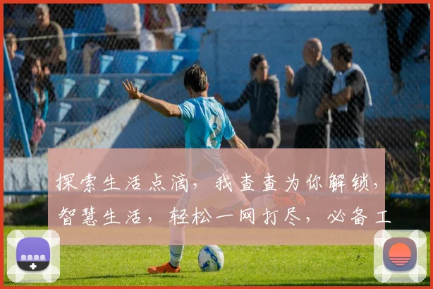 探索生活点滴，我查查为你解锁，智慧生活，轻松一网打尽，必备工具，三步速成指南