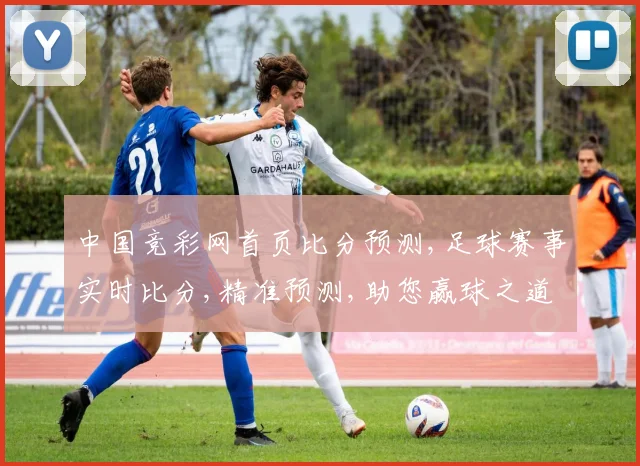 中国竞彩网首页比分预测,足球赛事实时比分,精准预测,助您赢球之道,一网打尽